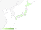 検索エンジン対策（SEO） 制作事例